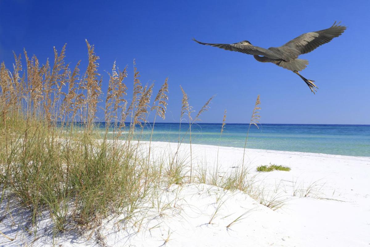 Cozy Canaveral Beach Condo! Next To Nasa Launch Site Cape Canaveral Esterno foto
